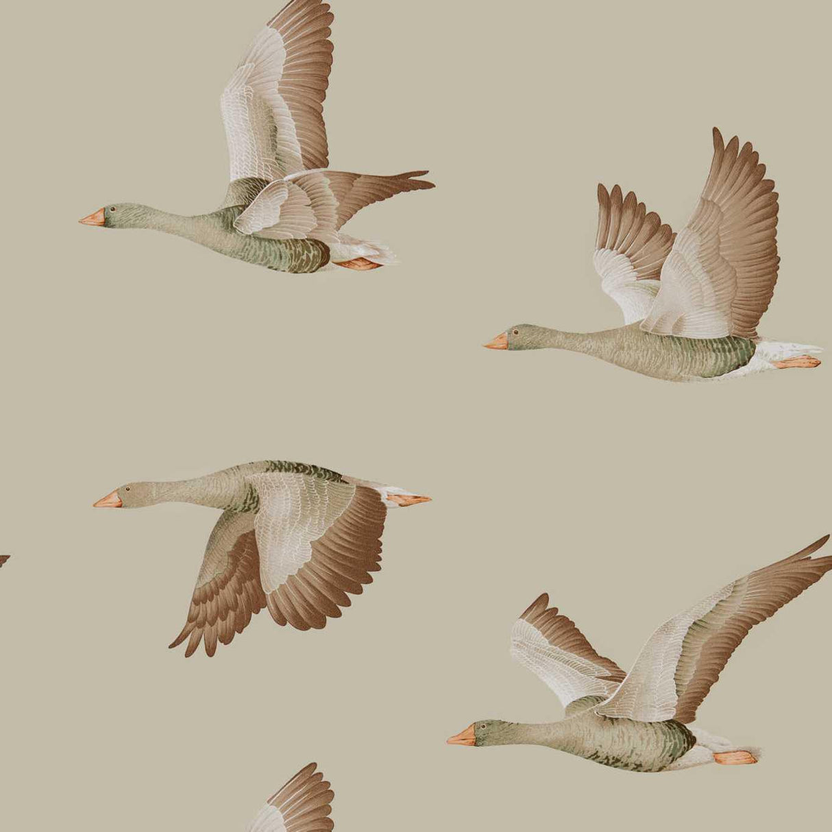 Sanderson Elysian Geese Briarwood Wallpaper