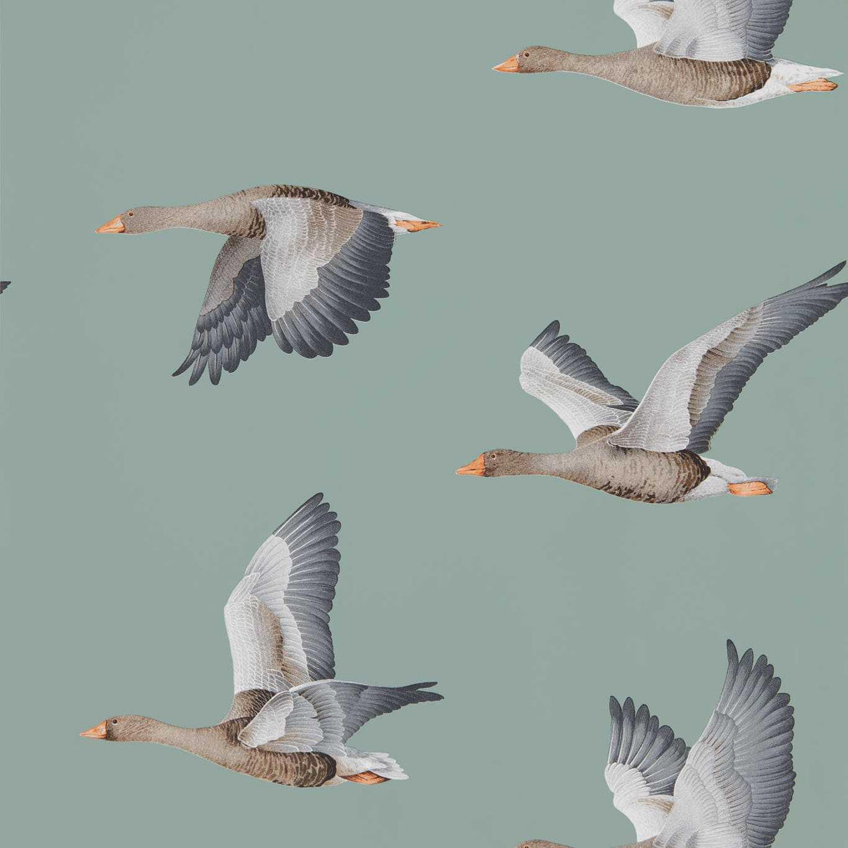 Sanderson Elysian Geese Blue Clay Wallpaper