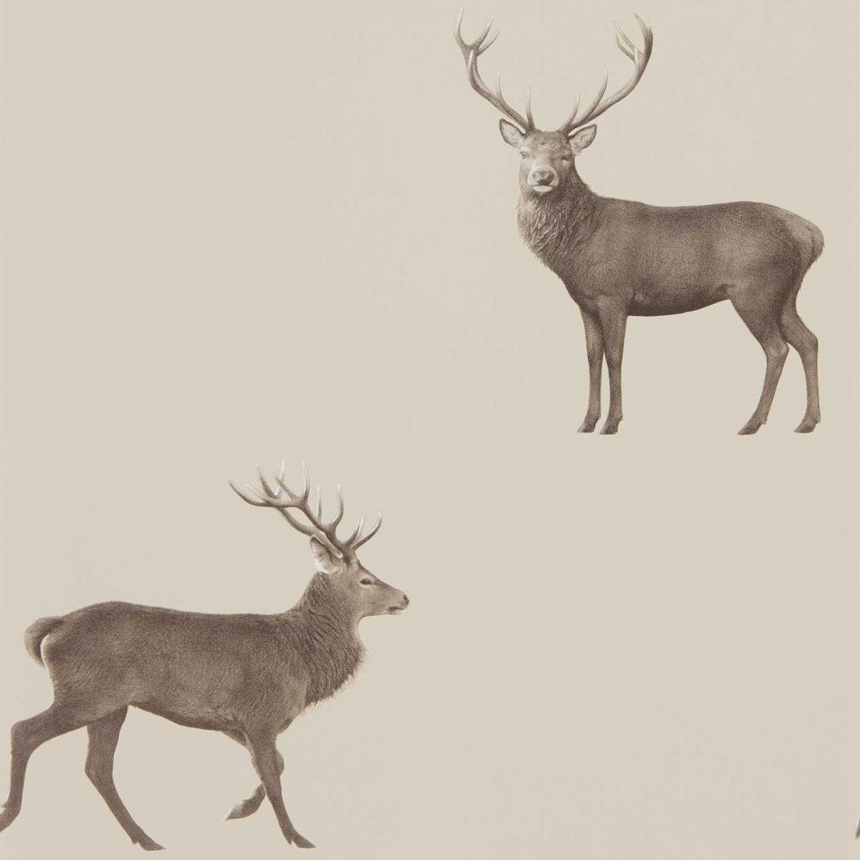 Sanderson Evesham Deer Birch Wallpaper