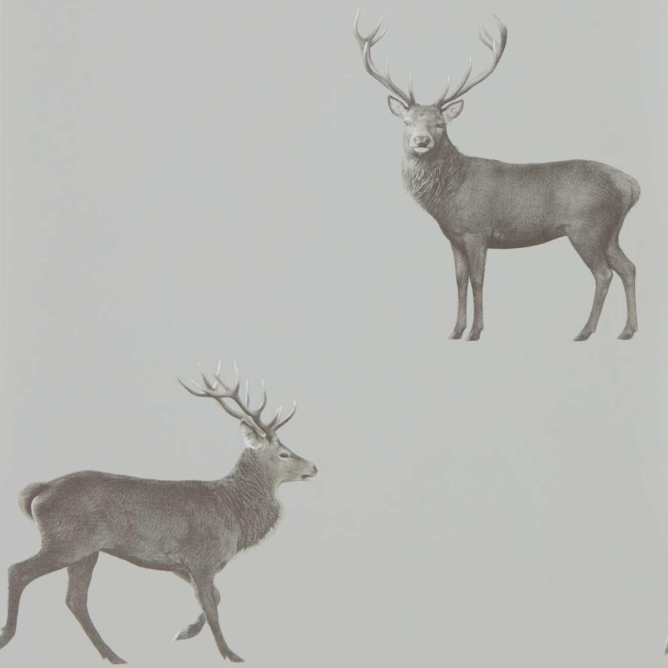 Sanderson Evesham Deer Silver Grey Wallpaper by Sanderson