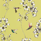 Harlequin Amazilia Gooseberry Wallpaper