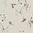 Harlequin Amazilia Silver Wallpaper