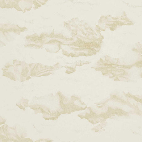 Harlequin Nuovola Gold/Shell Wallpaper