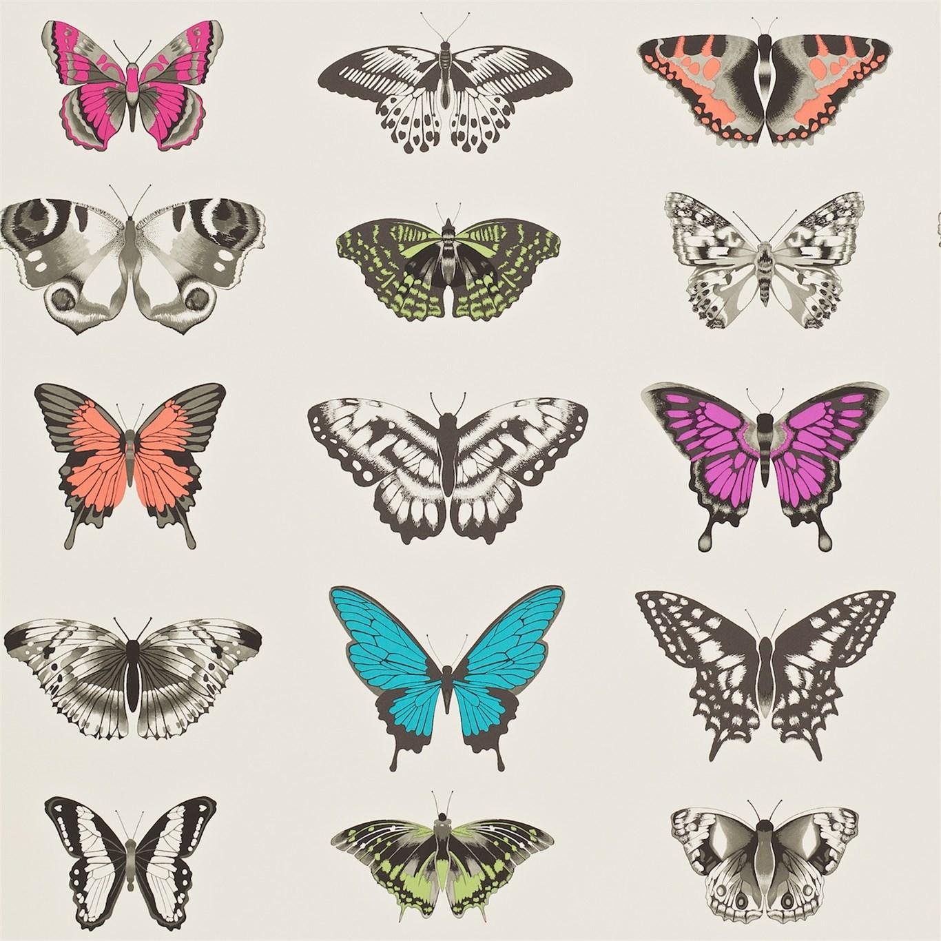 Harlequin Papilio Flamingo/Papaya/Olive Wallpaper