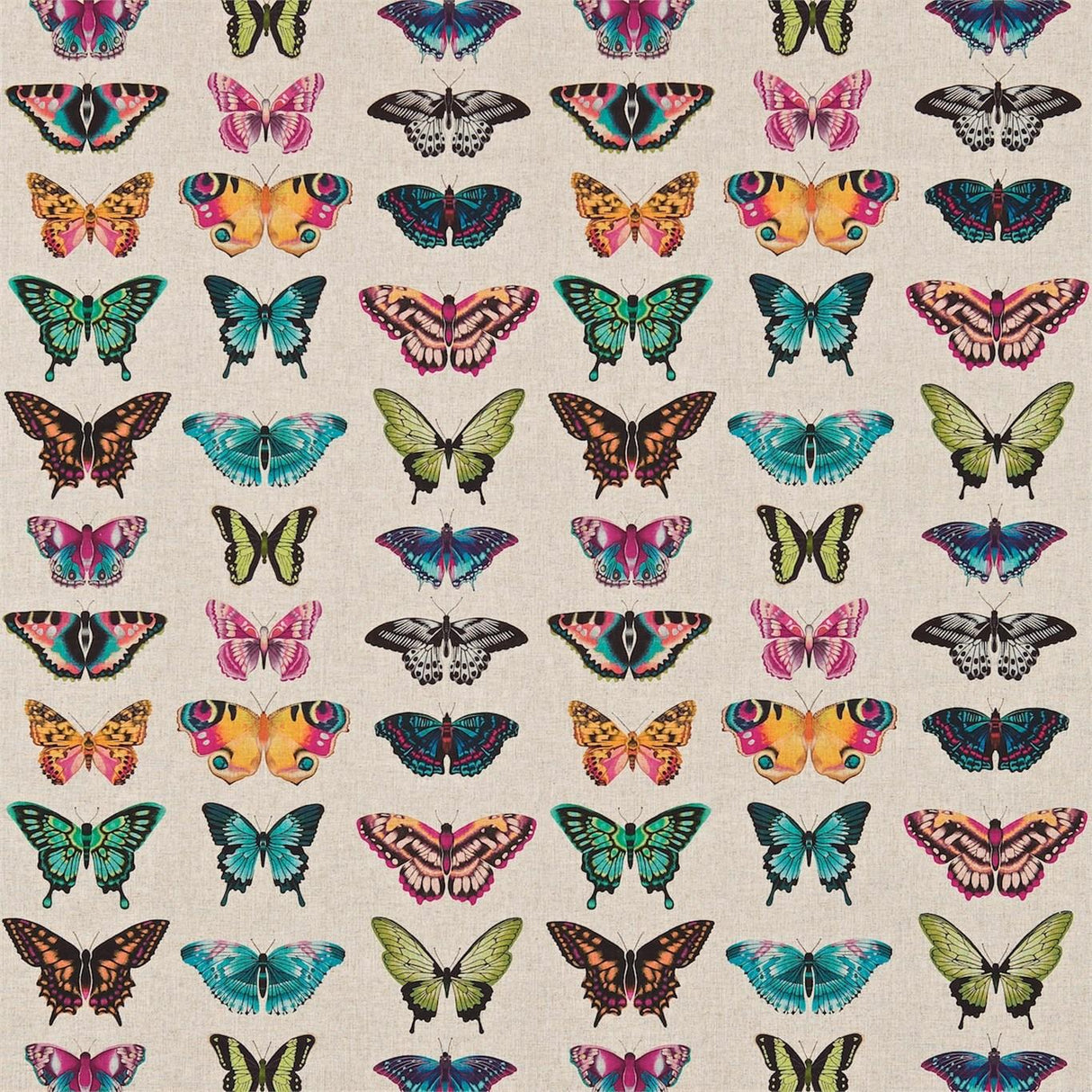 Harlequin Papilio Flamingo/Papaya/Loganberry Fabric
