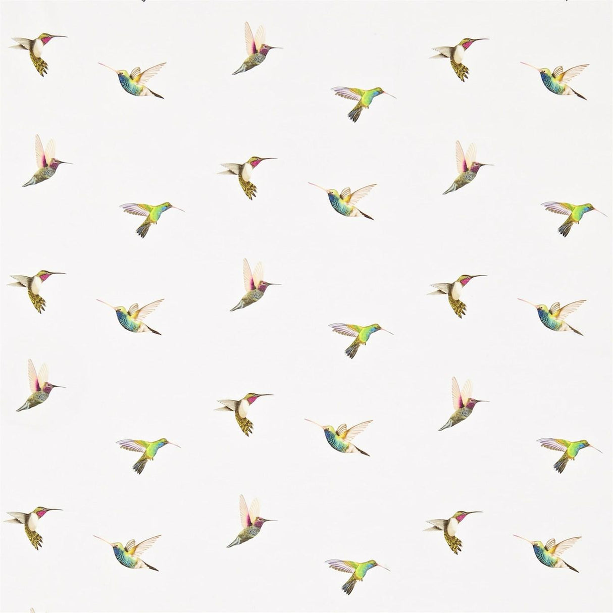 Harlequin Amazilia Flamingo/Papaya/Apple Fabric