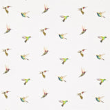 Harlequin Amazilia Flamingo/Papaya/Apple Fabric