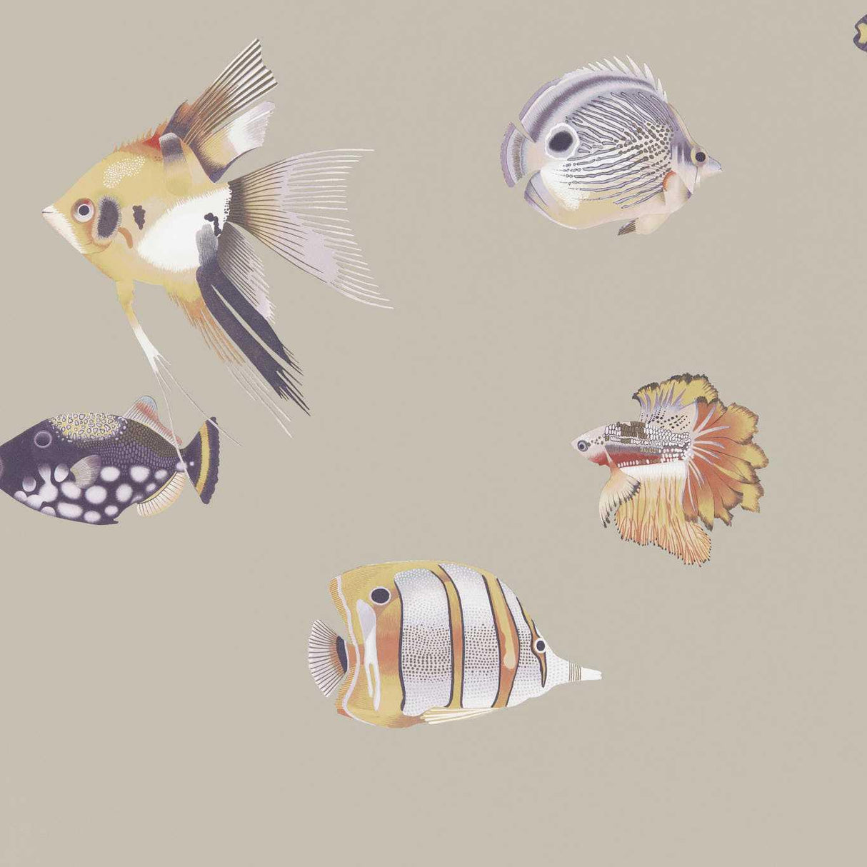 Harlequin Kamanu Mandarin/Fig Wallpaper