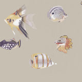 Harlequin Kamanu Mandarin/Fig Wallpaper