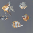 Harlequin Kamanu Amber/Slate Wallpaper