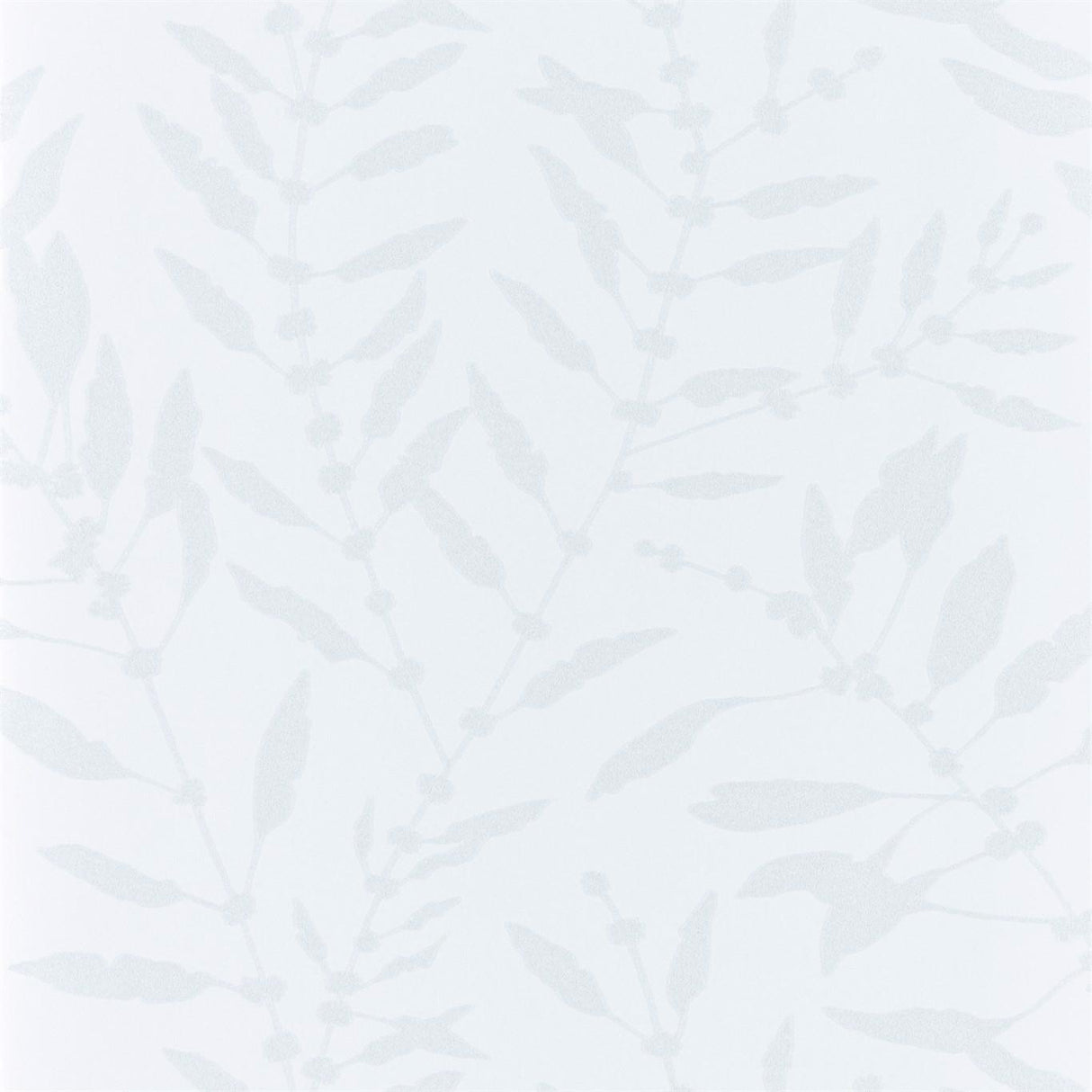 Harlequin Chaconia Shimmer Blush Wallpaper