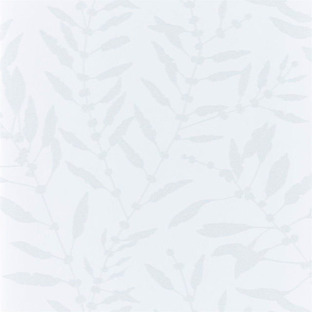 Harlequin Chaconia Shimmer Blush Wallpaper