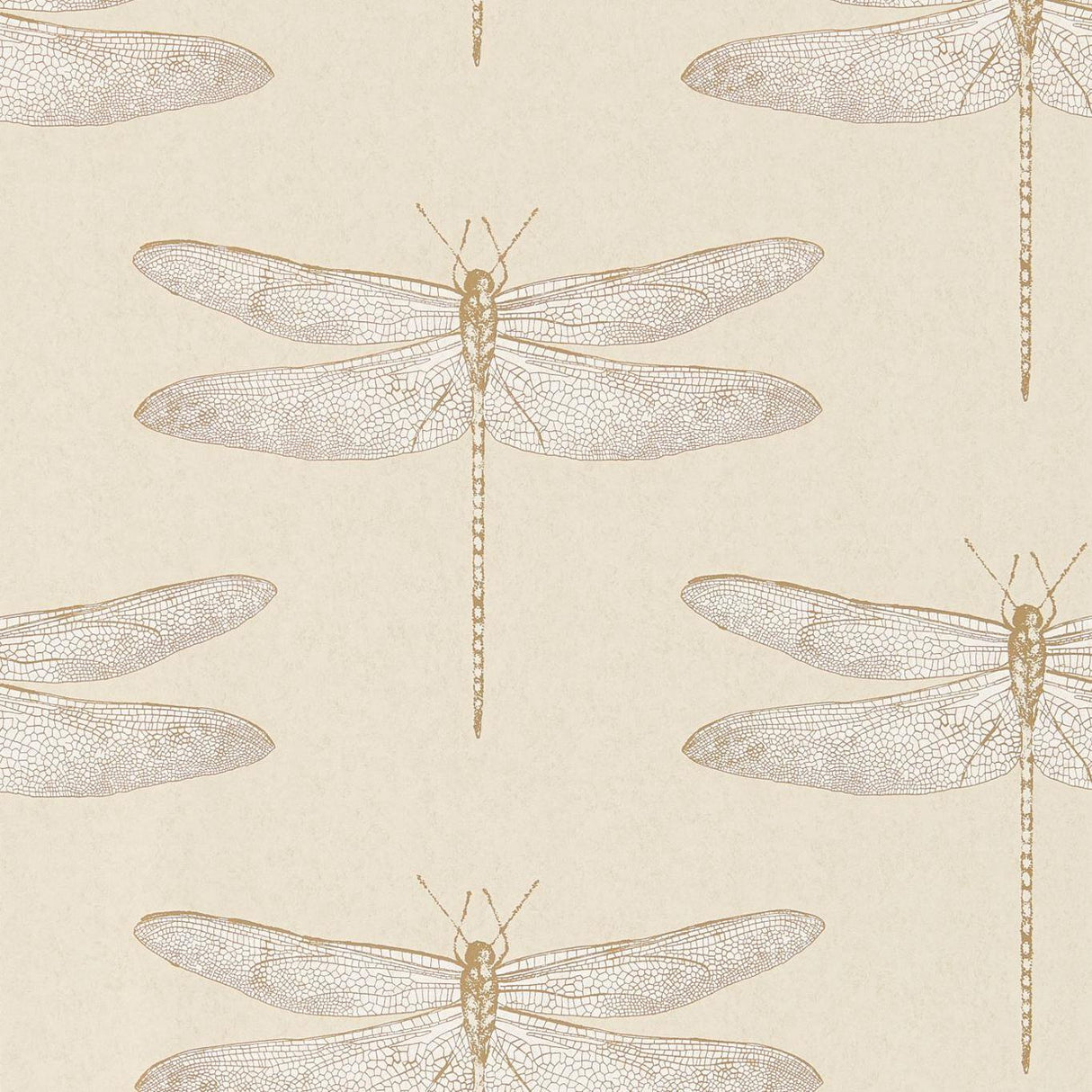 Harlequin Demoiselle Shell Wallpaper