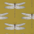 Harlequin Demoiselle Ochre/Grape Wallpaper