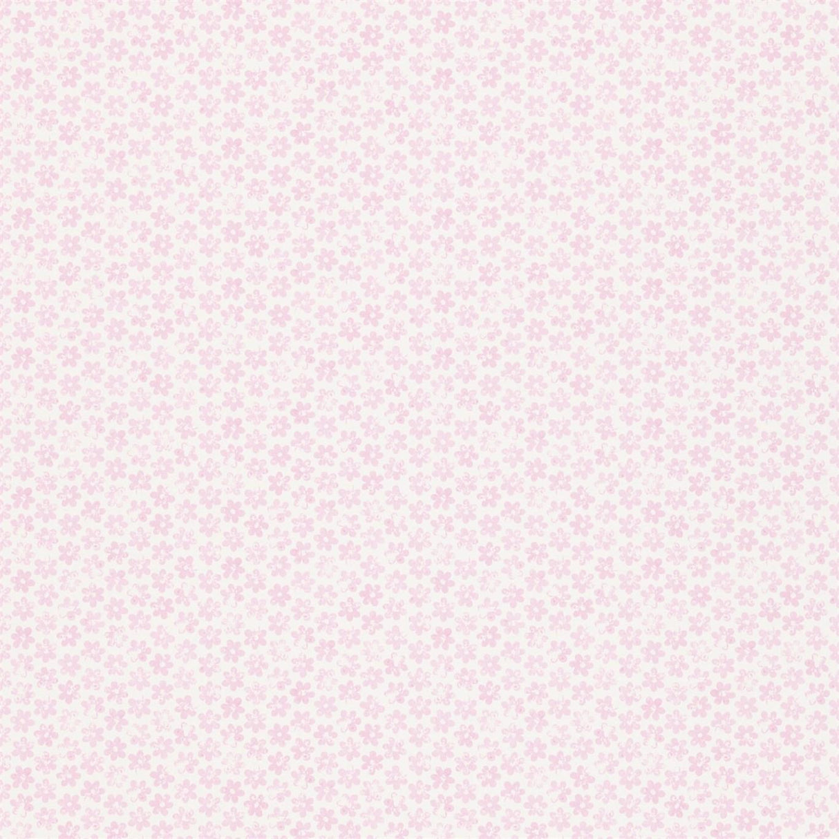 Harlequin Ditsy Daisy Soft Pink Wallpaper