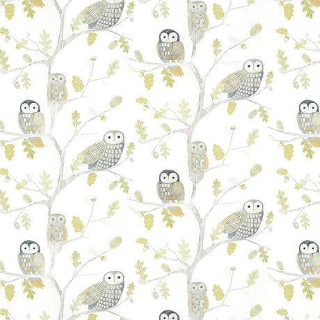 Harlequin Little Owls Kiwi Wallpaper