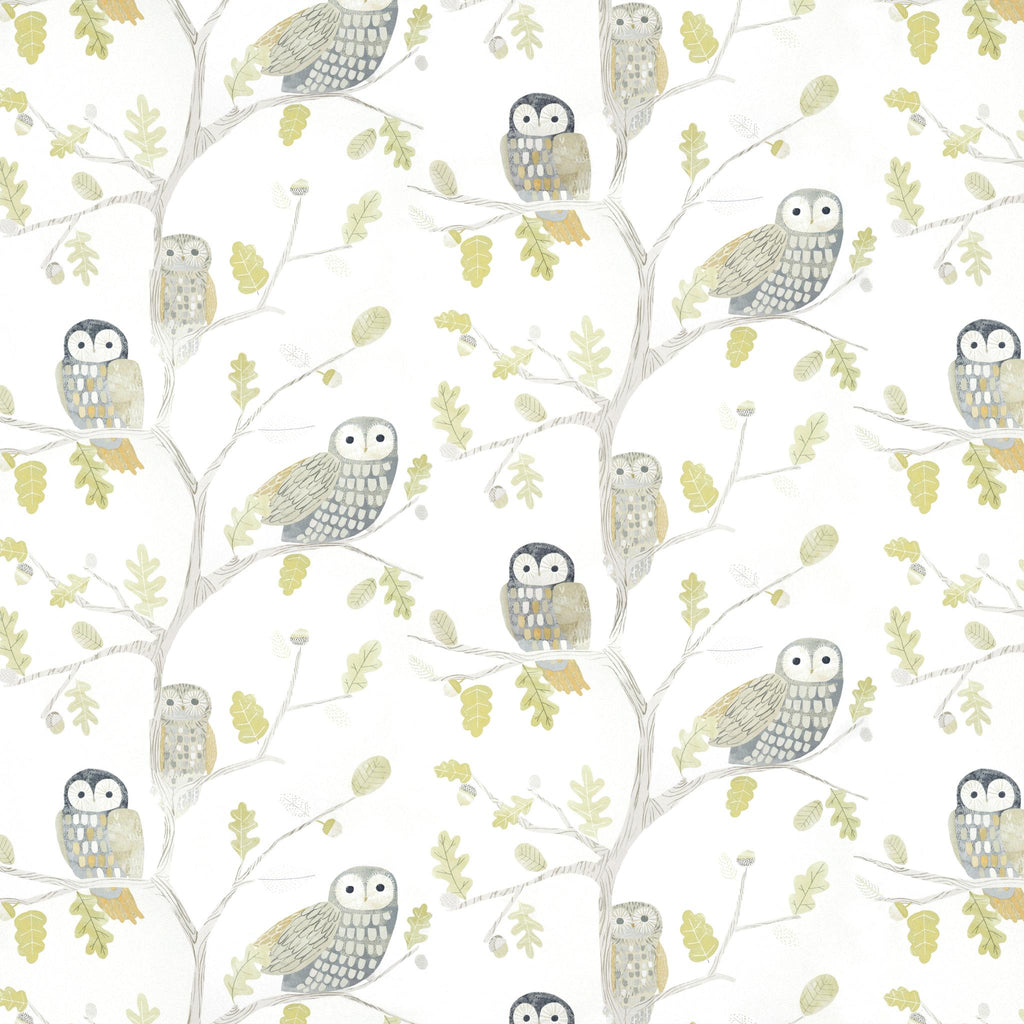 Harlequin Little Owls Kiwi Wallpaper