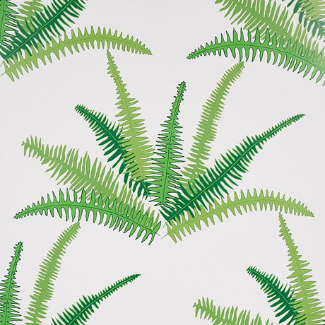 Schumacher Canyon Ferns Jungle Wallpaper