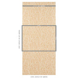Schumacher Solandra Vine Sisal Straw Wallpaper