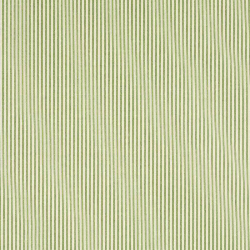 Schumacher Charee Silk Stripe Green Fabric