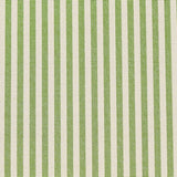 Schumacher Charee Silk Stripe Green Fabric
