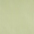 Schumacher Charee Silk Stripe Green Fabric