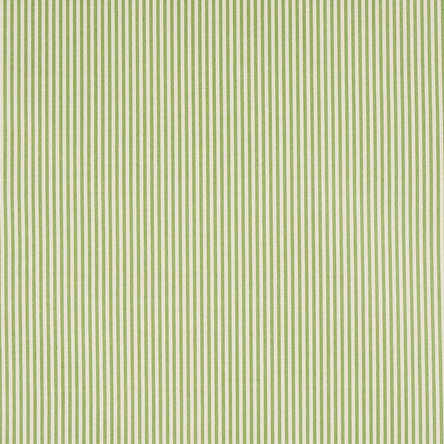 Schumacher Charee Silk Stripe Green Fabric