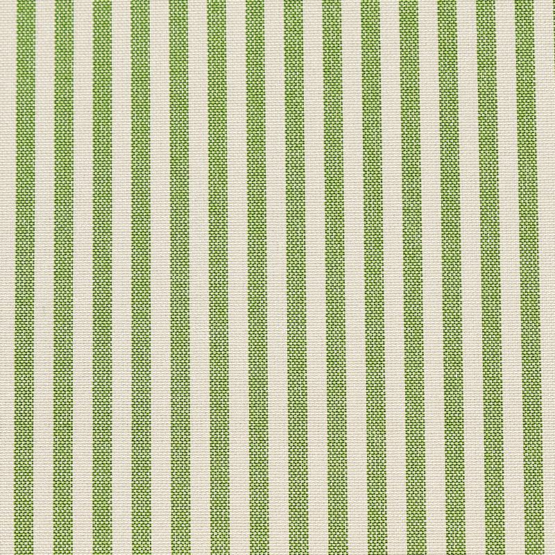 Schumacher Charee Silk Stripe Green Fabric