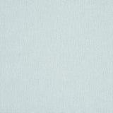 Schumacher Finn Heavyweight Linen Mineral Fabric