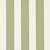 Schumacher Blumont Stripe Indoor/Outdoor Green Fabric
