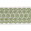 Schumacher Green Astrid Embroidered Tape