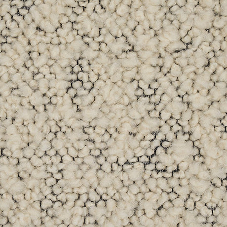 Schumacher Margarete Boucl Ivory On Charcoal Fabric