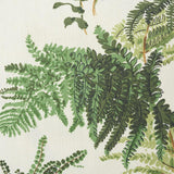 Schumacher Document 18" x 18" Les Fougeres Pillow