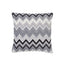 Schumacher Noir & Blanc 20" x 20" Zenyatta Mondatta Pillow