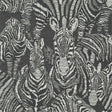 Harlequin Nirmala Jet/Chalk Wallpaper