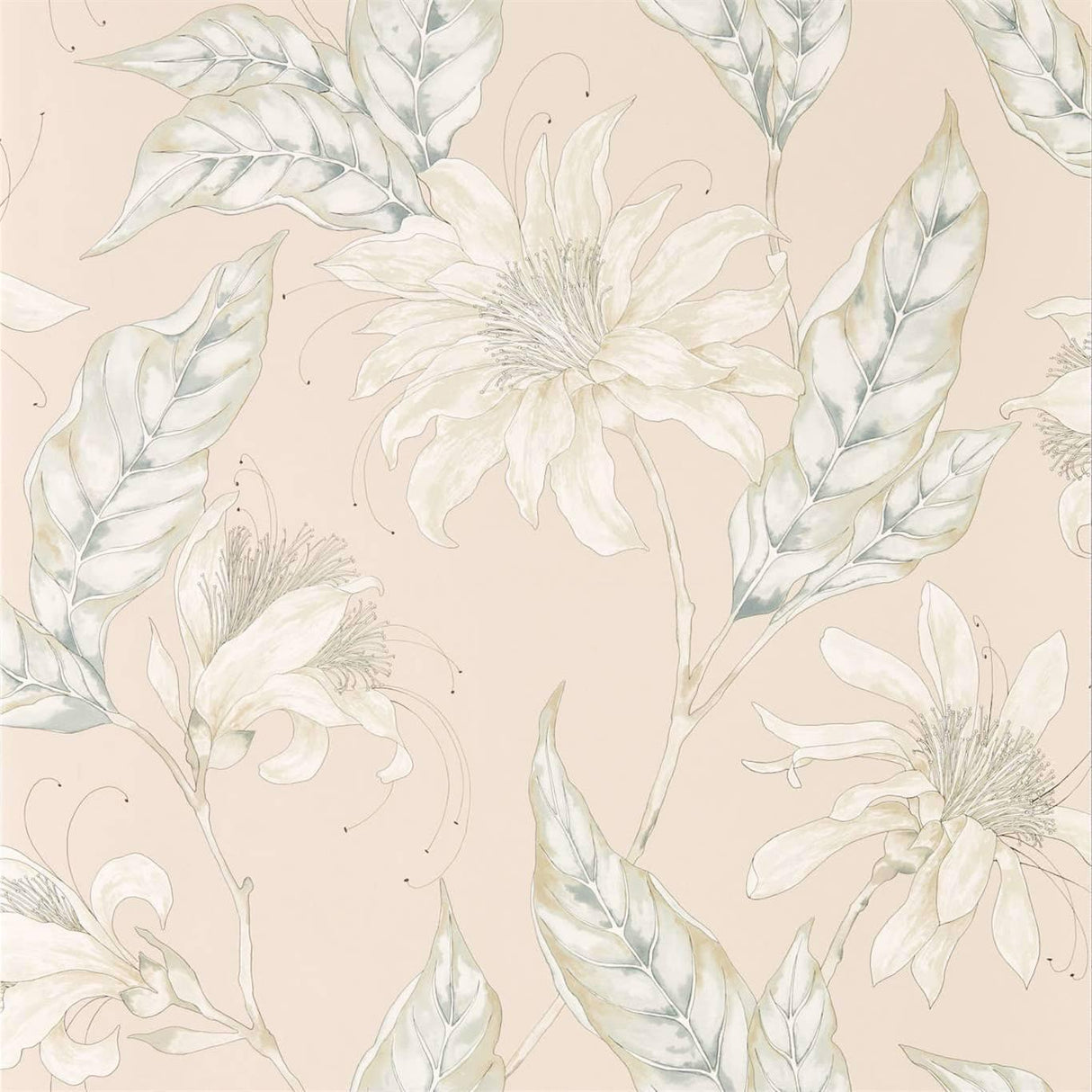 Harlequin Ananda Blush Wallpaper