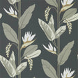 Harlequin Llenya Jet/Stone/Gold Wallpaper