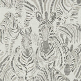 Harlequin Nirmala Chalk/Ebony Wallpaper