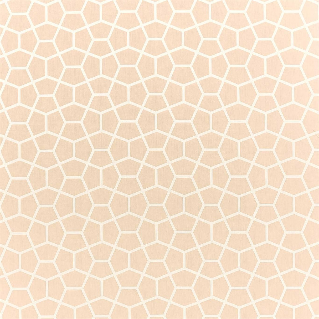 Harlequin Glyptic Buff Fabric