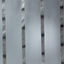 Harlequin Glint Onyx/ Chalk Fabric