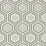 Harlequin Selo Slate/Platinum Wallpaper