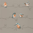 Harlequin Perisco Tangerine/Duckegg Wallpaper