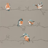Harlequin Perisco Tangerine/Duckegg Wallpaper