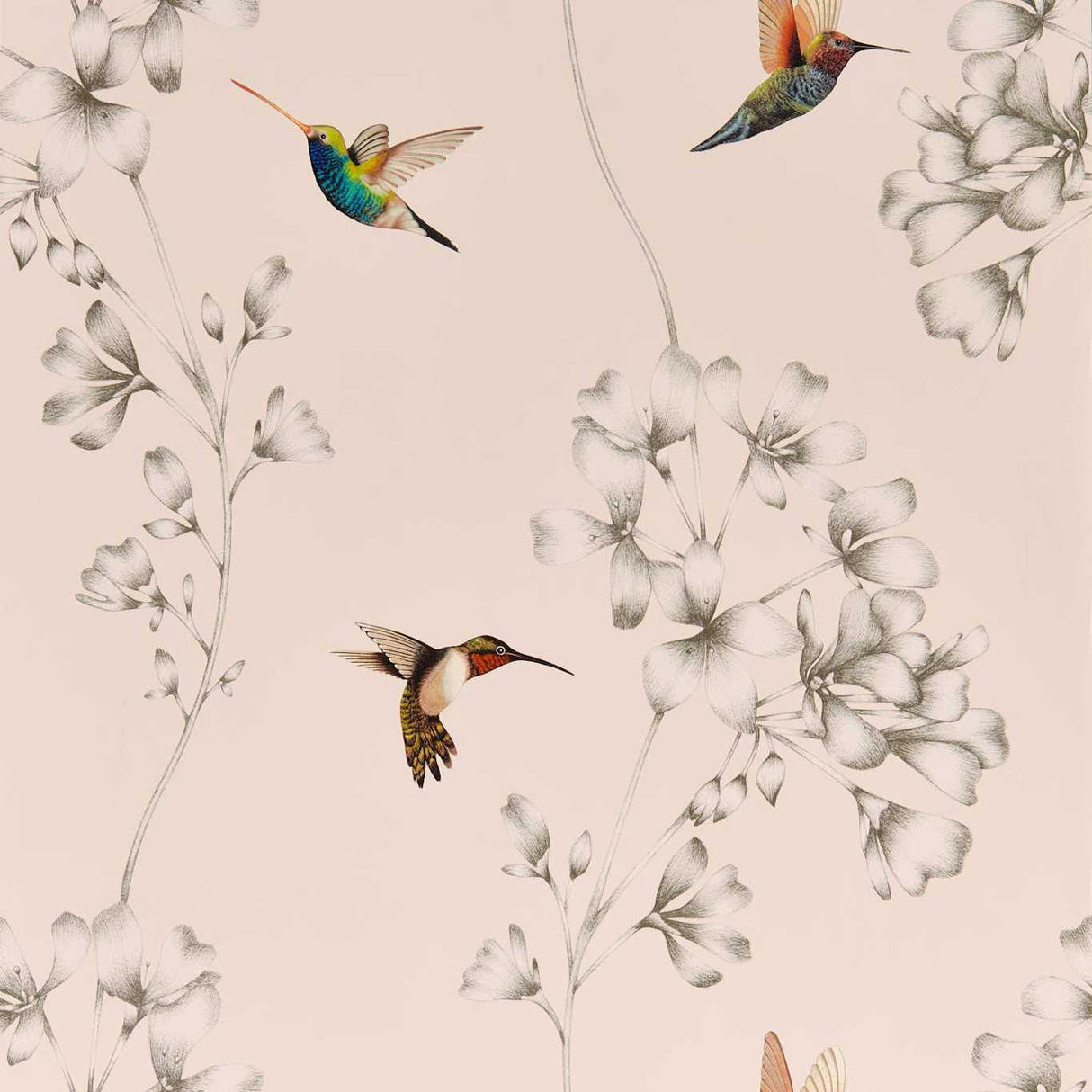 Harlequin Amazilia Powder/Pearl Wallpaper