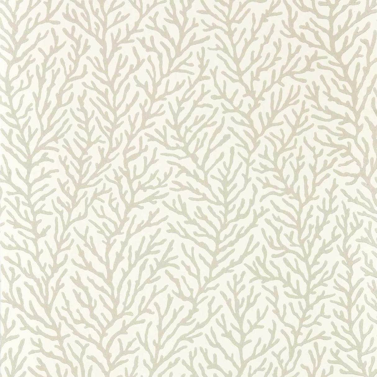 Harlequin Atoll Awakening/Diffused Light Wallpaper
