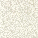 Harlequin Atoll Awakening/Diffused Light Wallpaper