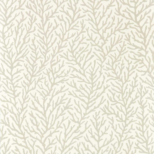 Harlequin Atoll Awakening/Diffused Light Wallpaper
