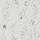 Harlequin Iyanu Blush/Ochre Wallpaper