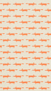 Scion Little Fox Ginger Wallpaper