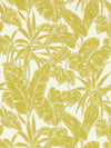 Scion Parlour Palm Palm Citrus Wallpaper